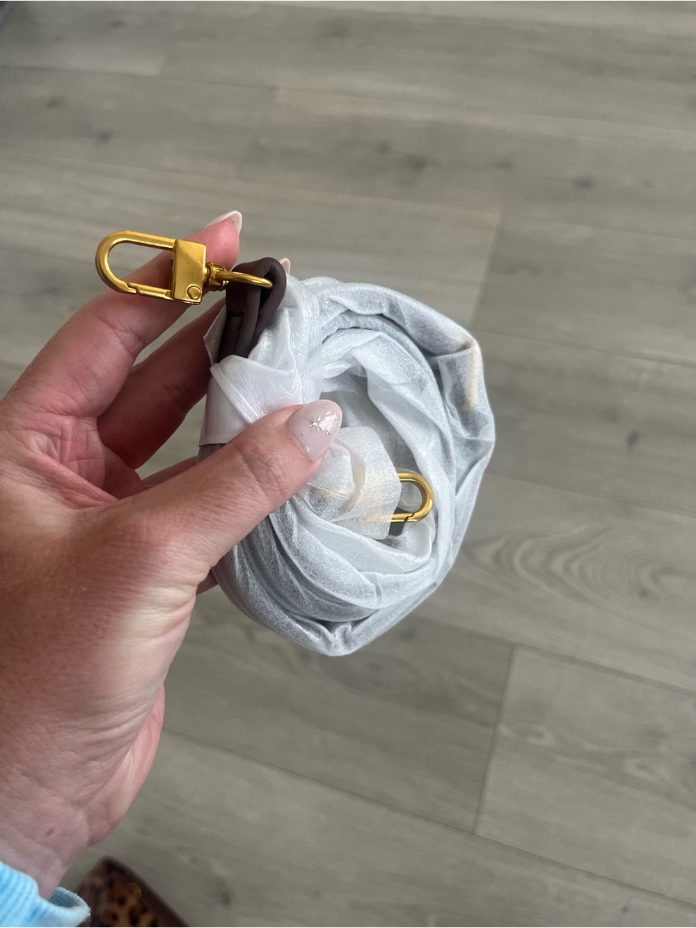Zara Brown Bag Strap with Gold Hardware